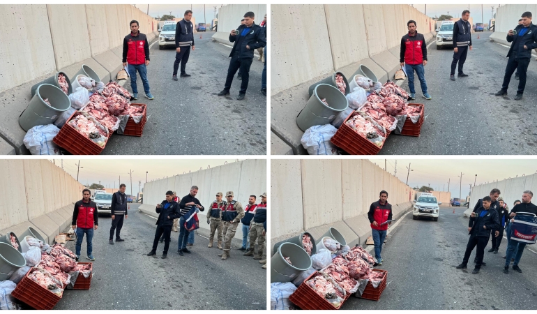 InShot_20251127_190656135