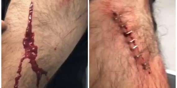 InShot_20251130_132655460