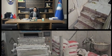 Screenshot_20251121_194846_Gallery