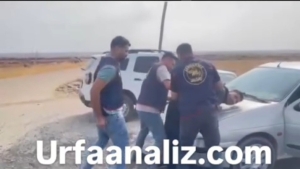 VID_20251106_110020_129