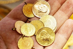 671f079da70b031500d22ea9