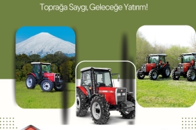 7d8e031d-4fd0-478d-8355-07569d69a6b4