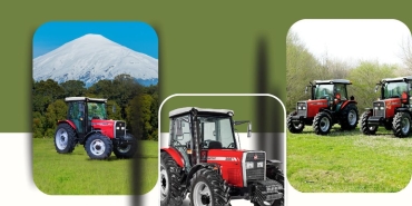 7d8e031d-4fd0-478d-8355-07569d69a6b4