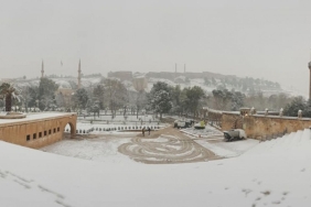 86388615_10158264528749916_5100842918965411840_n