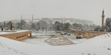 86388615_10158264528749916_5100842918965411840_n