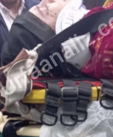 InShot_20251210_103200480