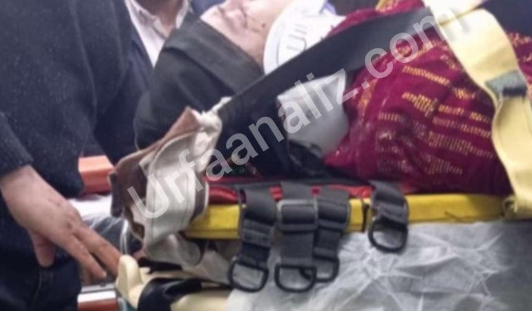 InShot_20251210_103200480