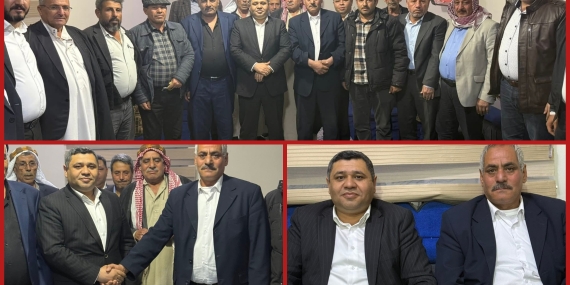 InShot_20251215_110311488