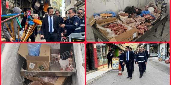 InShot_20251216_140223503