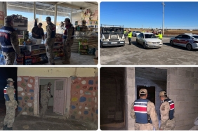 InShot_20251217_092555188