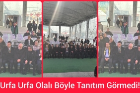 InShot_20251226_110611625