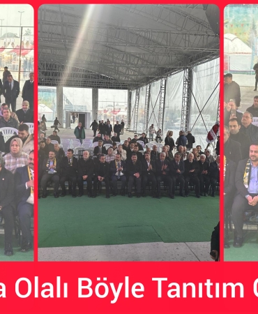 InShot_20251226_110611625