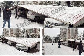 InShot_20251231_161914417