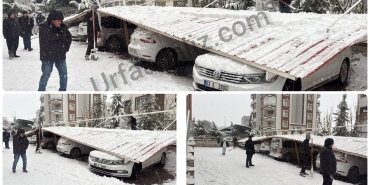 InShot_20251231_161914417