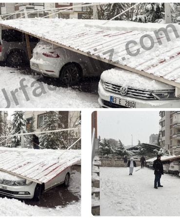 InShot_20251231_161914417