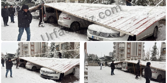 InShot_20251231_161914417