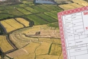 tapujpg1lu2gq8lc0wsjsd3dmjkwjpg-Bum0tsuwSUCSBo269R2GqQ