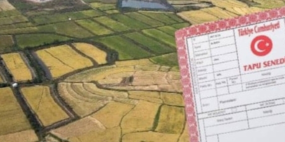 tapujpg1lu2gq8lc0wsjsd3dmjkwjpg-Bum0tsuwSUCSBo269R2GqQ