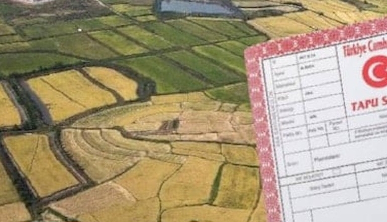 tapujpg1lu2gq8lc0wsjsd3dmjkwjpg-Bum0tsuwSUCSBo269R2GqQ