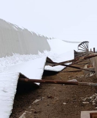 618838433-2354405658357356-6531117195262149628-n