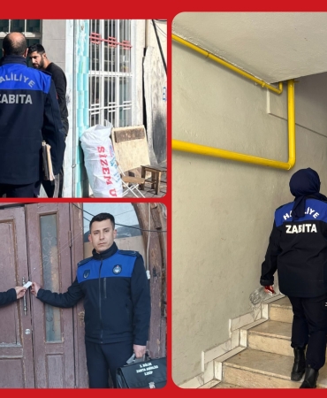 InShot_20260117_112209344