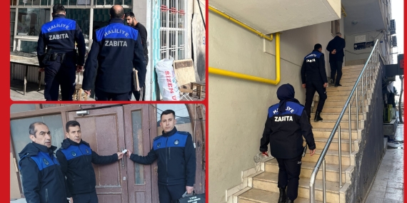 InShot_20260117_112209344