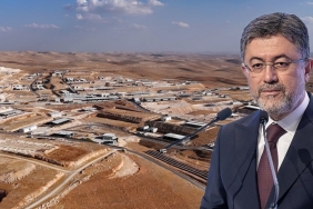 InShot_20260117_185115394