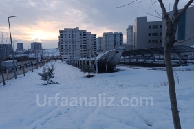 InShot_20260124_192707232