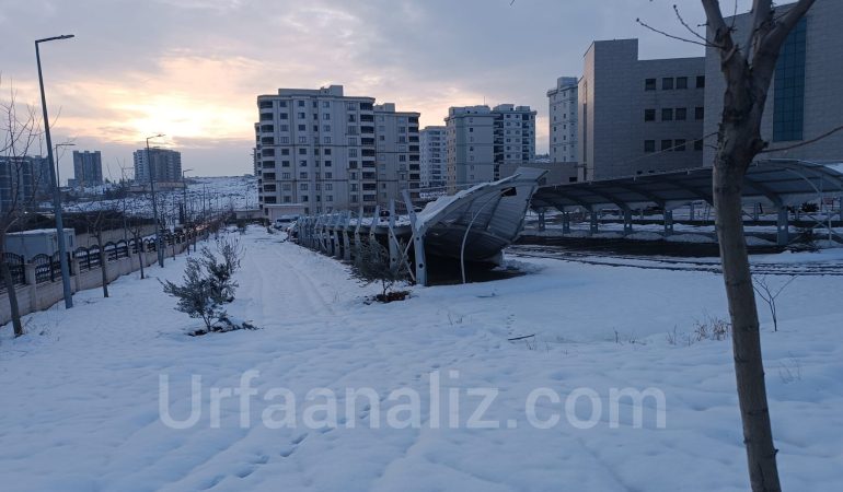 InShot_20260124_192707232