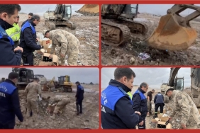 Screenshot_20260113_195657_Gallery