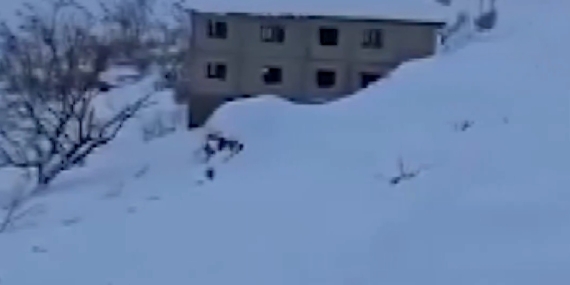 VID-20260104-WA0134(1)(2)