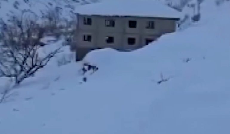 VID-20260104-WA0134(1)(2)