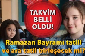 655c62554e3fe00ebc3b1006