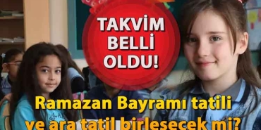 655c62554e3fe00ebc3b1006