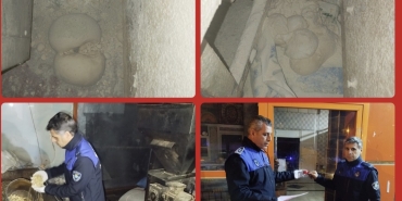 AISelect_20260206_232212_Gallery