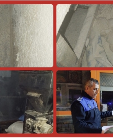 AISelect_20260206_232212_Gallery