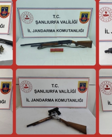 AISelect_20260211_164527_Gallery