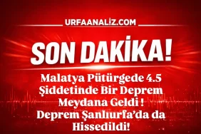 IMG_20260221_065354_321