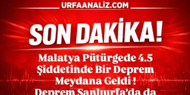 IMG_20260221_065354_321