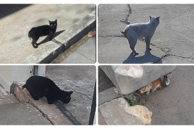 InShot_20260204_164812277