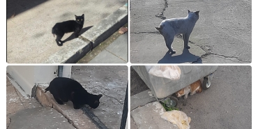 InShot_20260204_164812277