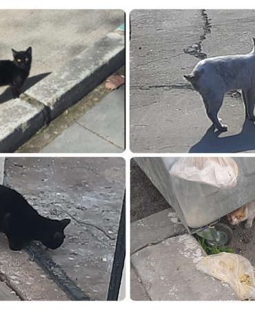 InShot_20260204_164812277