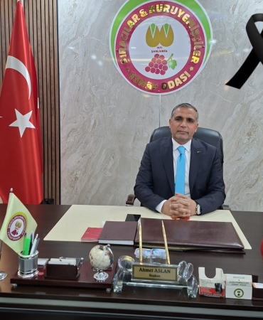 InShot_20260206_105841581