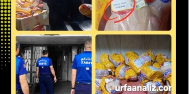 Screenshot_20260214_201512_Canva