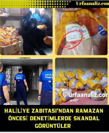 Screenshot_20260214_201512_Canva