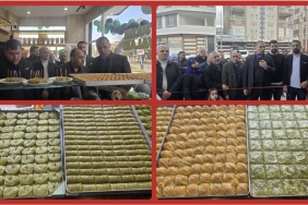 Screenshot_20260218_222833_Gallery