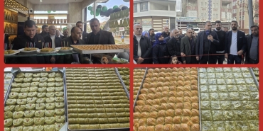 Screenshot_20260218_222833_Gallery