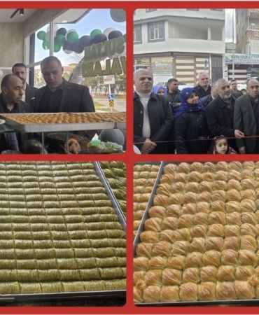 Screenshot_20260218_222833_Gallery