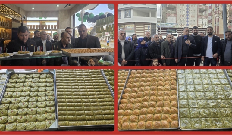 Screenshot_20260218_222833_Gallery