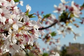 Screenshot_20260219_143711_Instagram